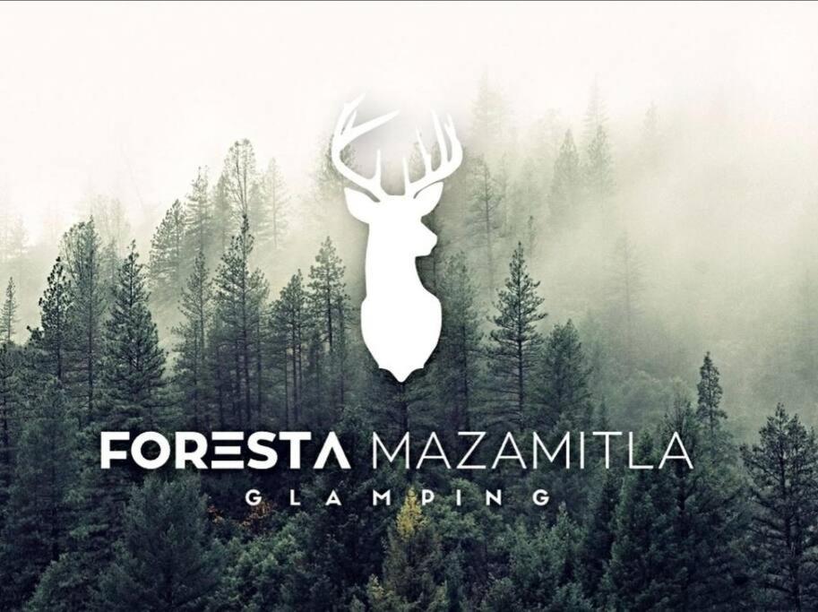 Encanto Natural 2 Мазамитла Экстерьер фото